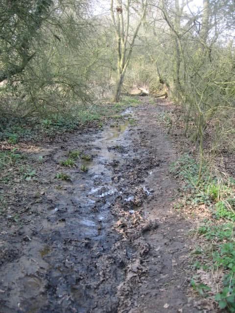 Test Image 1